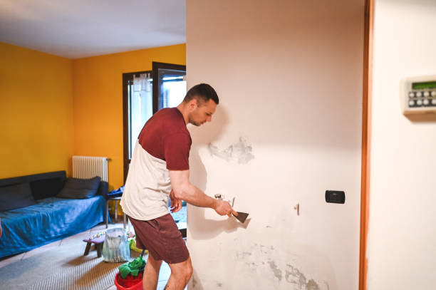 Best Black Mold Removal  in Gillette, NJ